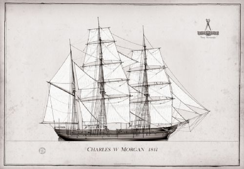 1841 Charles W Morgan pen ink study by Tony Fernandes
